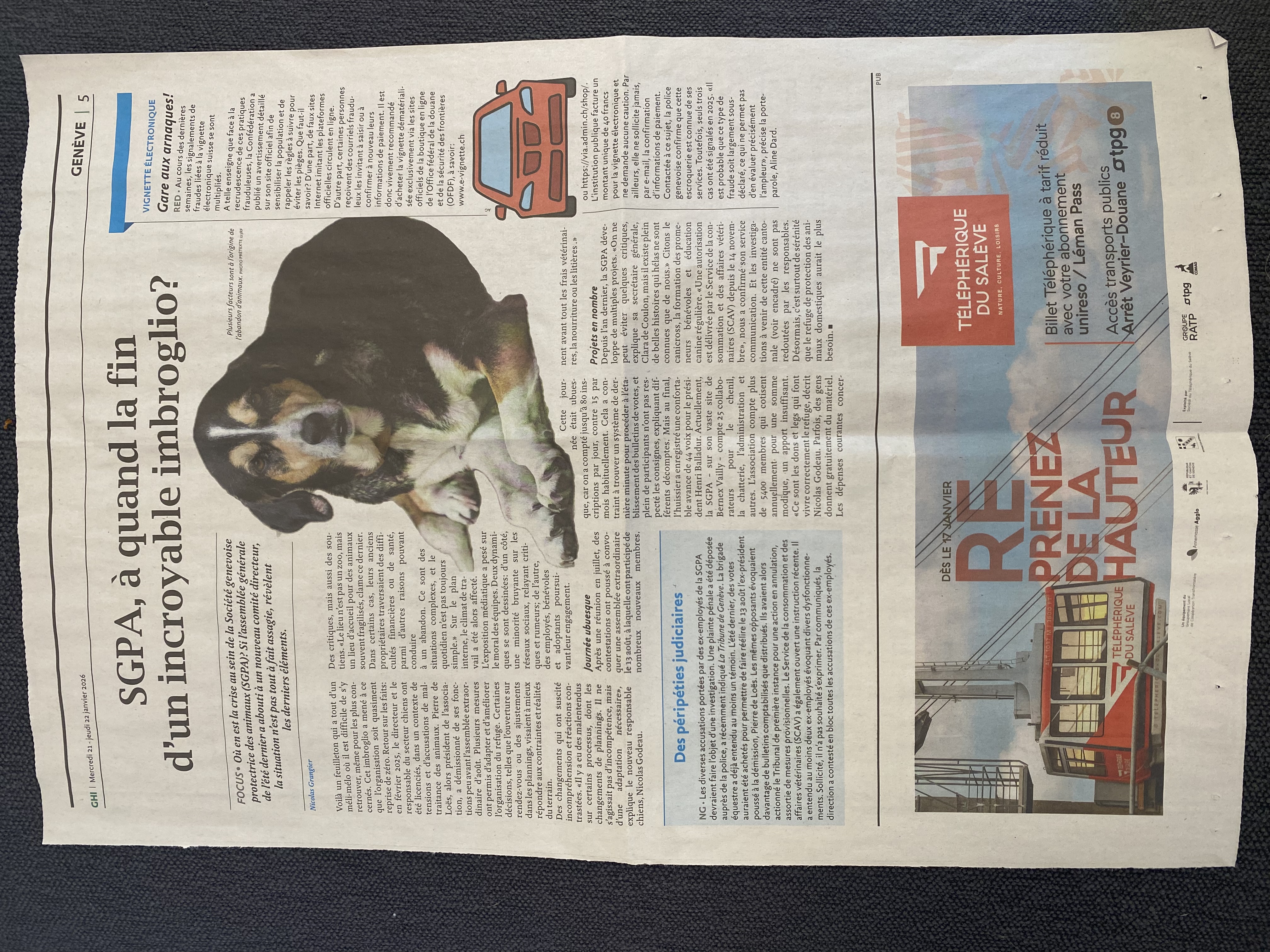 SPA image article