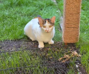 SPA genève image