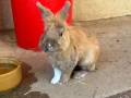 SPA genève image