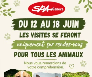 SPA genève image