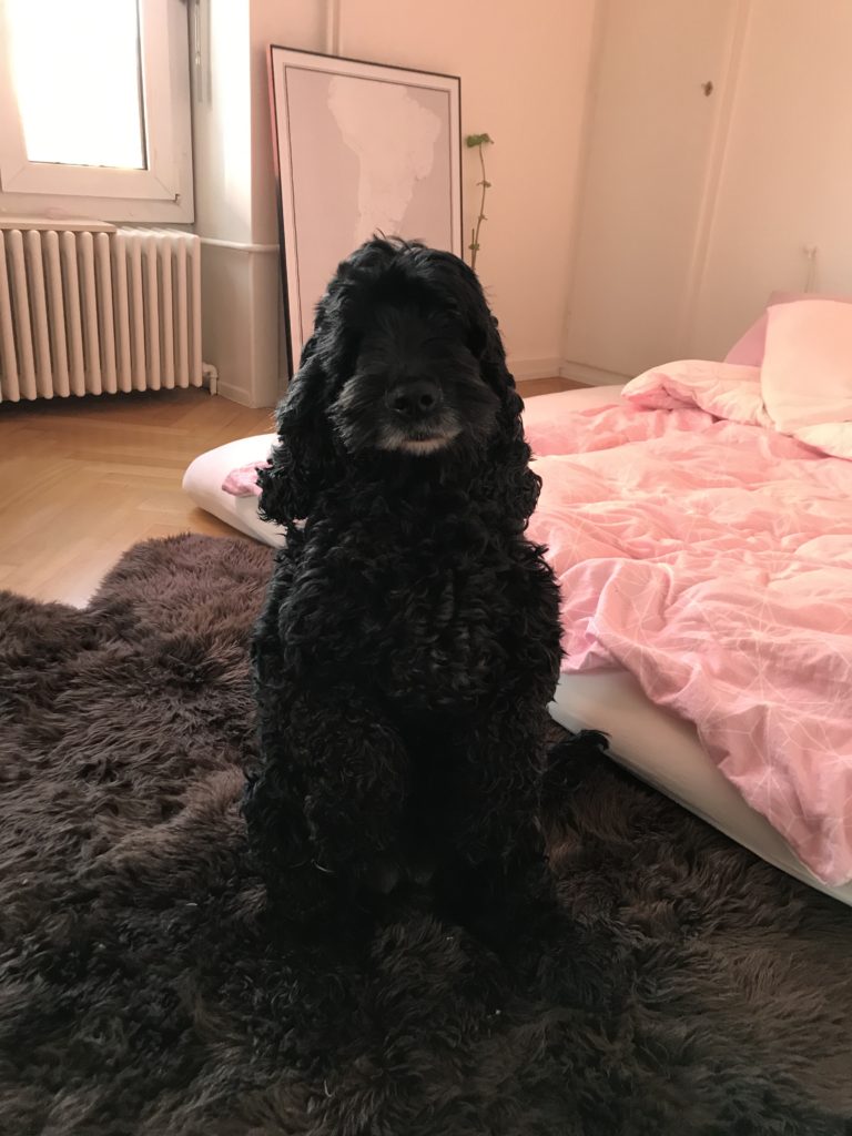 Dieter